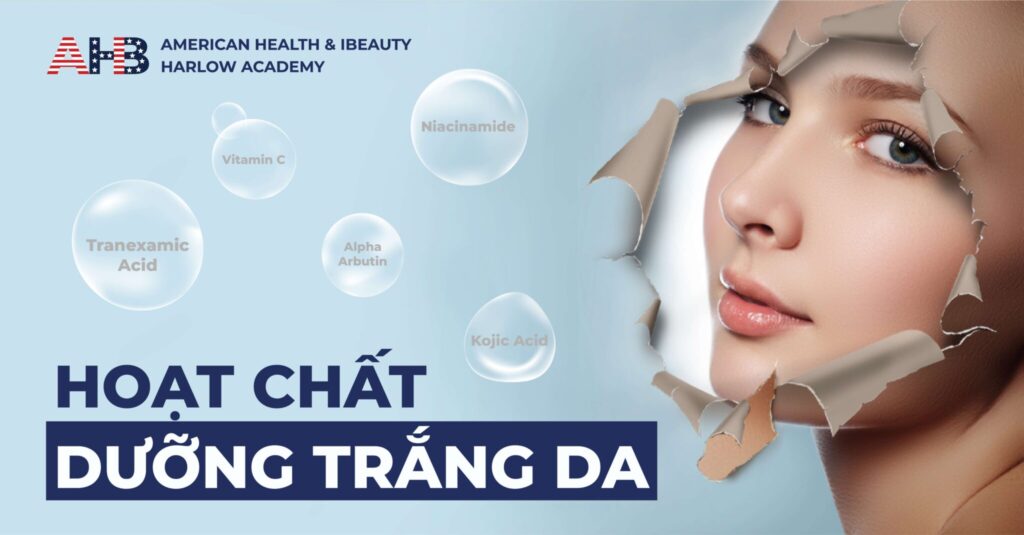 Các Thành Phần Dưỡng Trắng Da Được Ưa Chuộng Trên Thị Trường