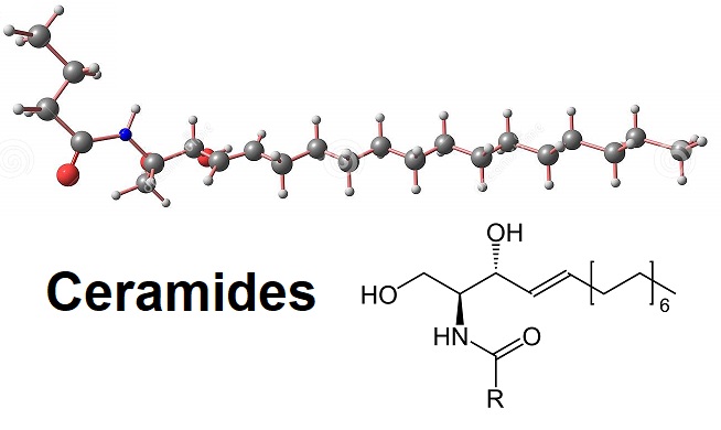 Thành phần Ceramides